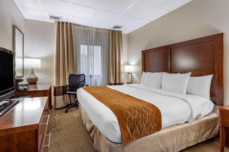 Comfort Inn Syosset-Long Island - Oda