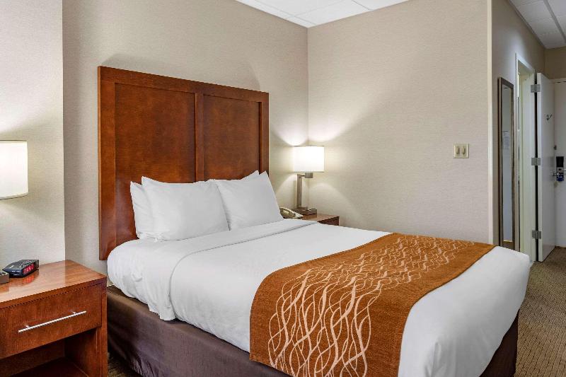 Comfort Inn Syosset-Long Island - Oda