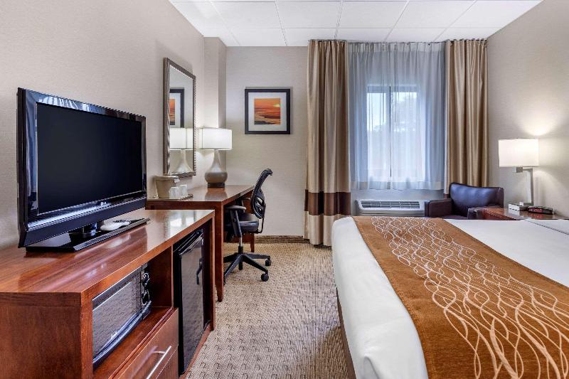 Comfort Inn Syosset-Long Island - Oda