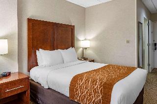 Comfort Inn Syosset-Long Island fotoÄŸrafÄ±
