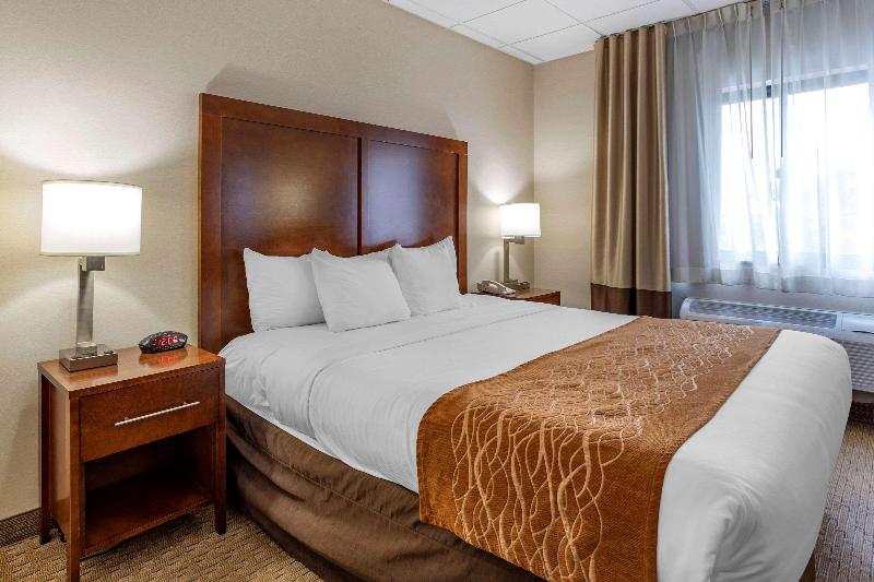 Comfort Inn Syosset-Long Island - Oda