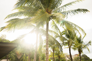 Phuket Marriott Resort and Spa, Nai Yang Beach fotoÄŸrafÄ±