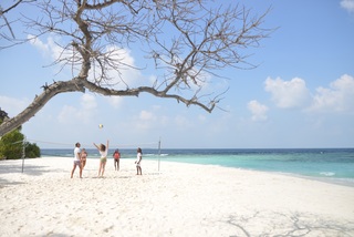 Malahini Kuda Bandos fotoÄŸrafÄ±