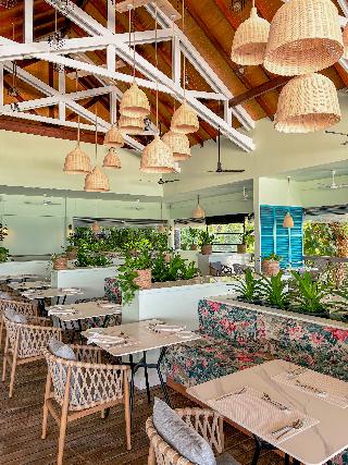 Malahini Kuda Bandos fotoÄŸrafÄ±