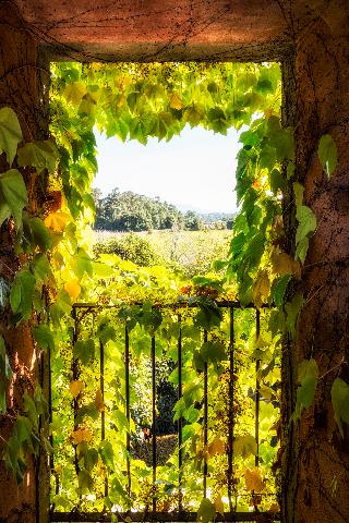Quinta Do Ameal - Wine & Tourism fotoÄŸrafÄ±