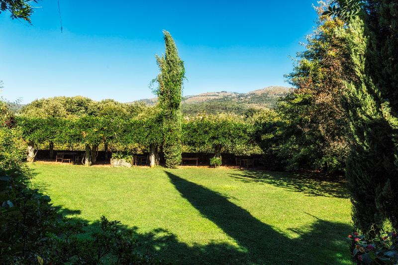 Quinta Do Ameal - Wine & Tourism - Genel