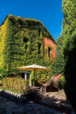 Quinta Do Ameal - Wine & Tourism fotoÄŸrafÄ±