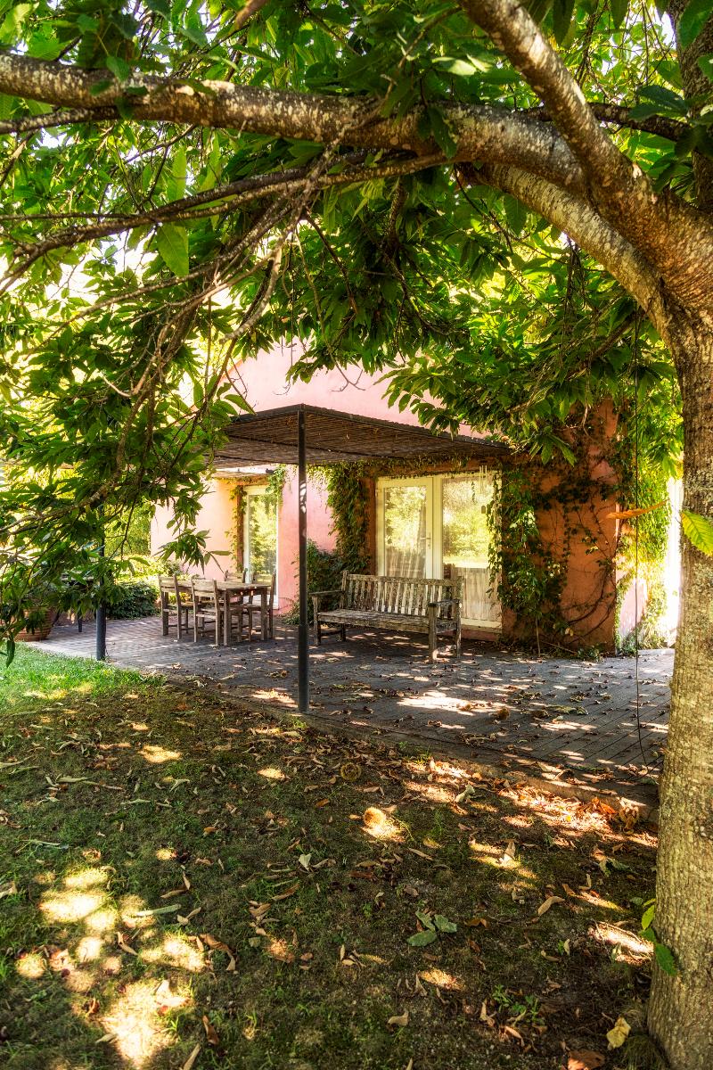 Quinta Do Ameal - Wine & Tourism - Genel