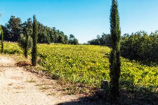 Quinta Do Ameal - Wine & Tourism fotoÄŸrafÄ±