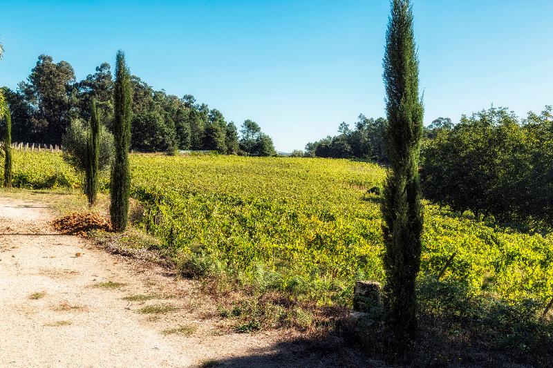 Quinta Do Ameal - Wine & Tourism - Genel