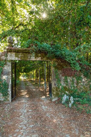 Quinta Do Ameal - Wine & Tourism fotoÄŸrafÄ±