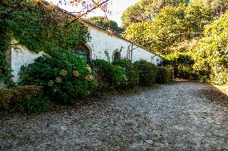 Quinta Do Ameal - Wine & Tourism fotoÄŸrafÄ±