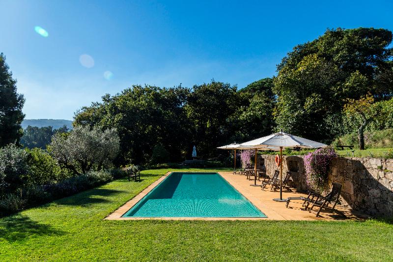 Quinta Do Ameal - Wine & Tourism - Havuz