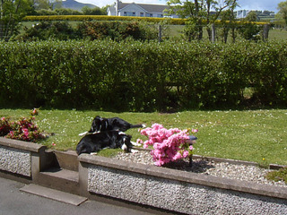 Garron View fotoÄŸrafÄ±