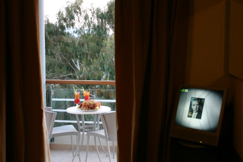 Alexandros Boutique Hotel - Teras