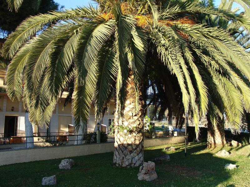 Ignatia Hotel - Toplantı