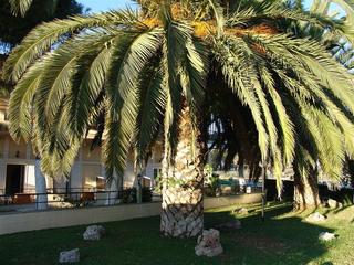 Ignatia Hotel fotoÄŸrafÄ±