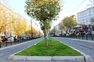 The Central Hotel fotoÄŸrafÄ±
