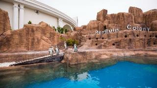The Land of Legends Kingdom fotoÄŸrafÄ±