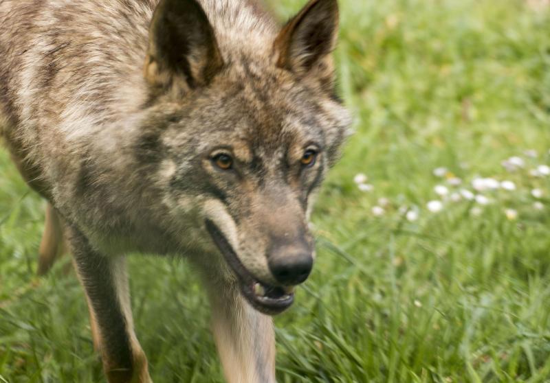 Hotel Rural Calzada Romana - Genel