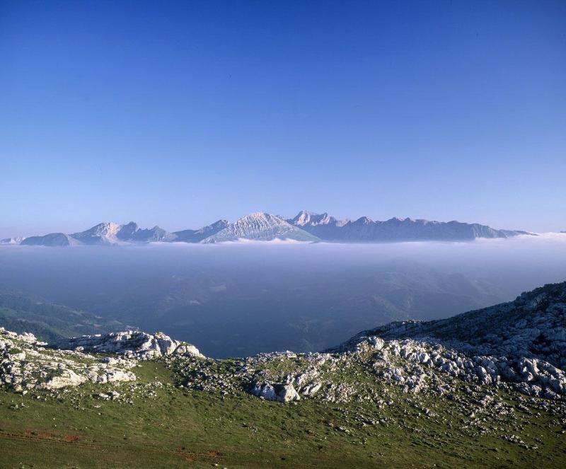 Gran Hotel Rural Cela - Aktivite