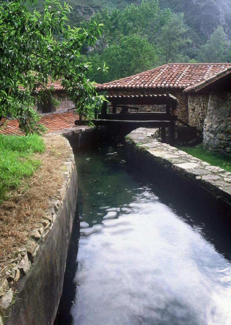 Gran Hotel Rural Cela - Aktivite