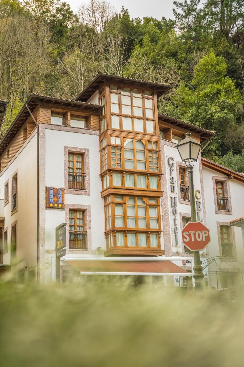 Gran Hotel Rural Cela - Genel