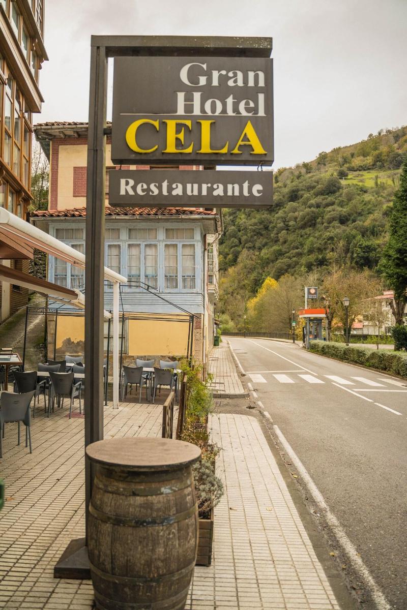 Gran Hotel Rural Cela - Genel