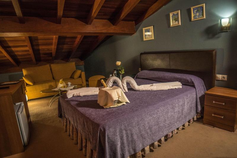 Gran Hotel Rural Cela - Oda