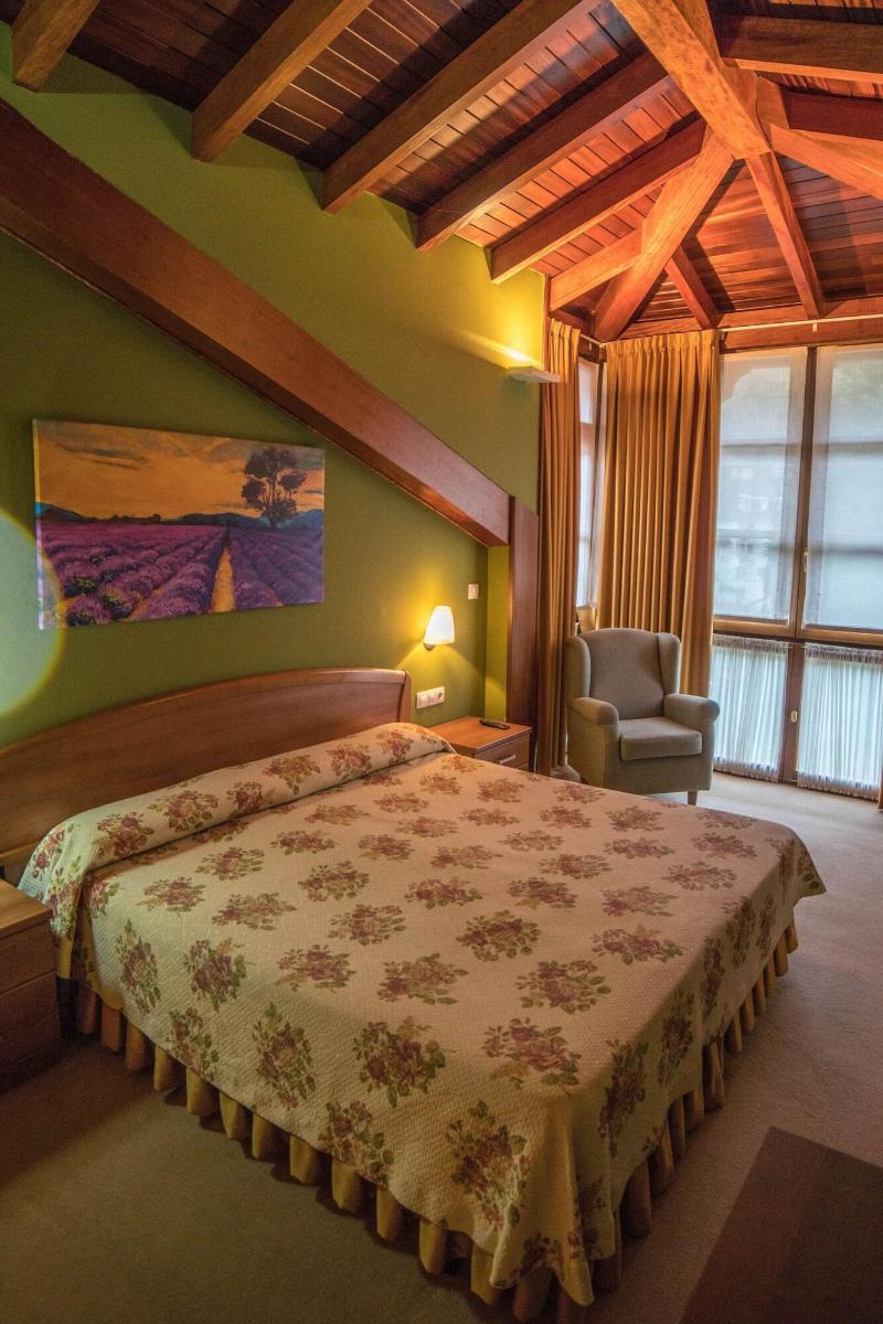Gran Hotel Rural Cela - Oda