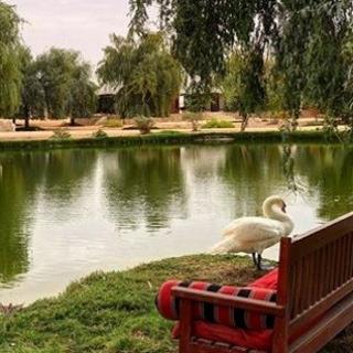 Telal Resort fotoÄŸrafÄ±