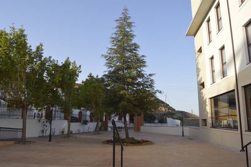 Hotel Balneario De Graena - Teras