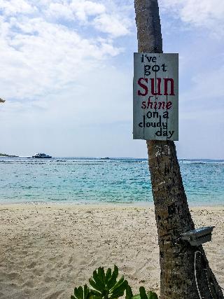 Season Paradise fotoÄŸrafÄ±
