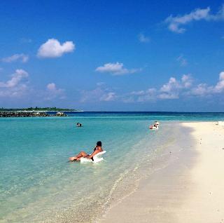 Season Paradise fotoÄŸrafÄ±