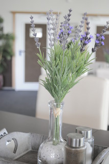 Hotel Am Wall fotoÄŸrafÄ±