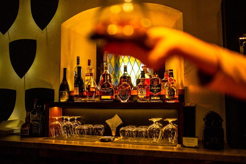 Hotel Grad Otocec - Relais Chateaux - Bar