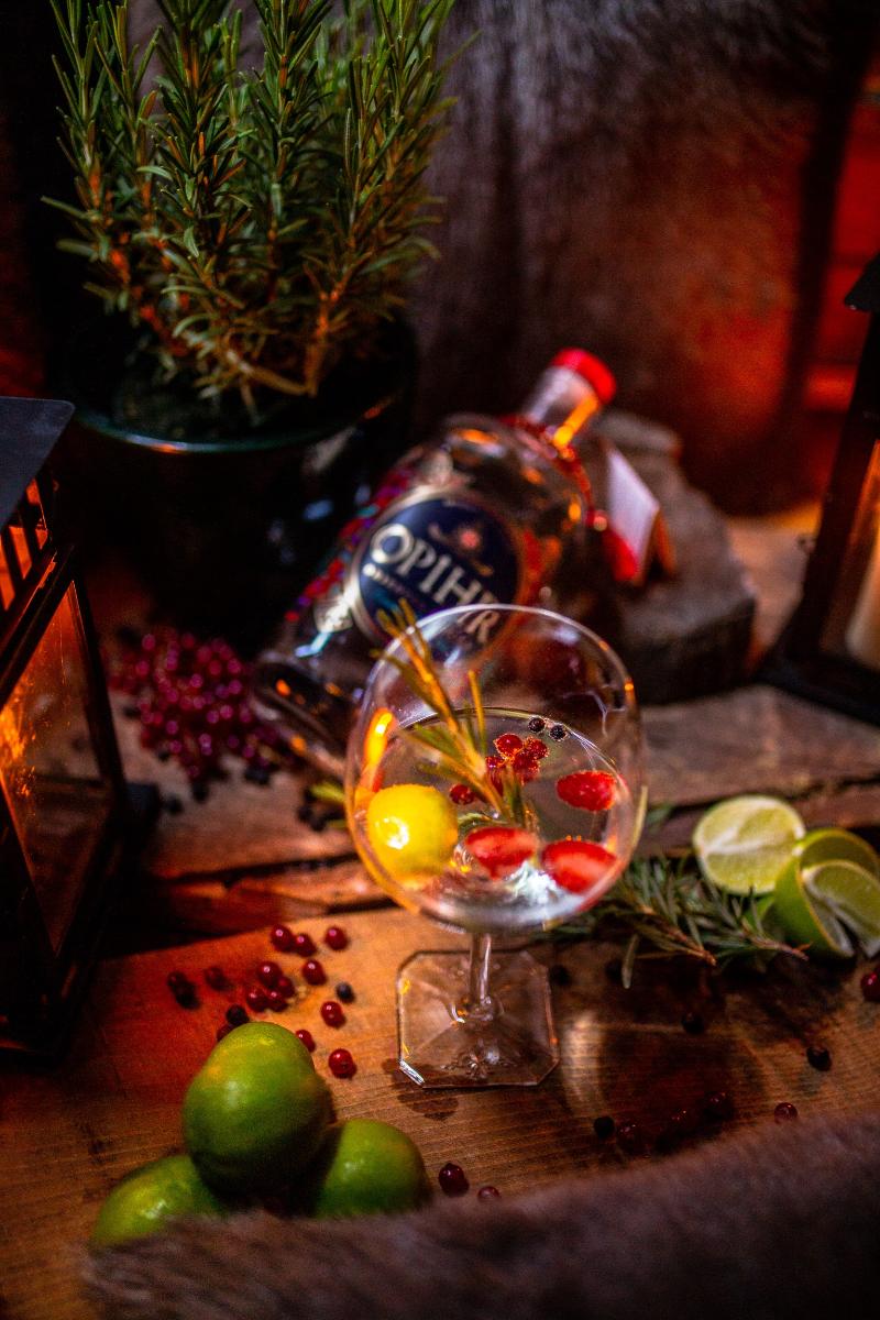 Hotel Grad Otocec - Relais Chateaux - Bar