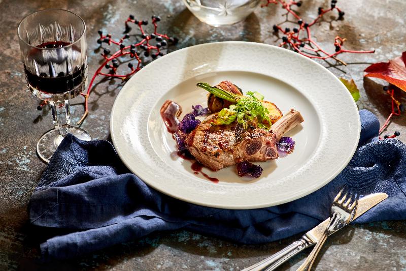 Hotel Grad Otocec - Relais Chateaux - Restoran