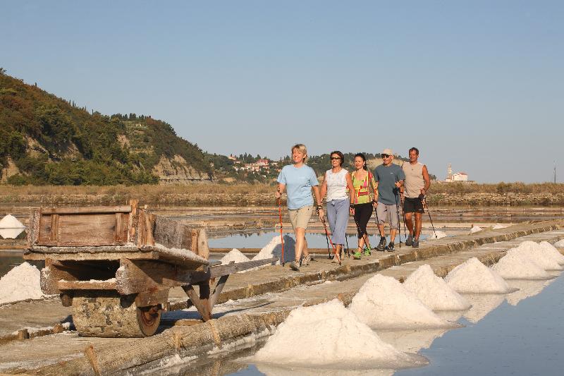 Hotel Laguna Rozmarin - Terme Krka - Aktivite