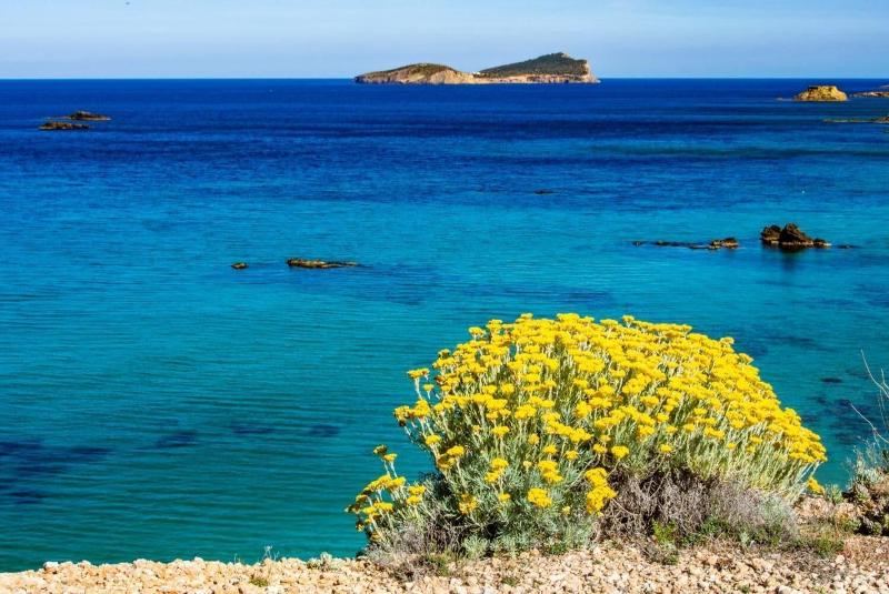Hostal Santa Eulalia - Plaj