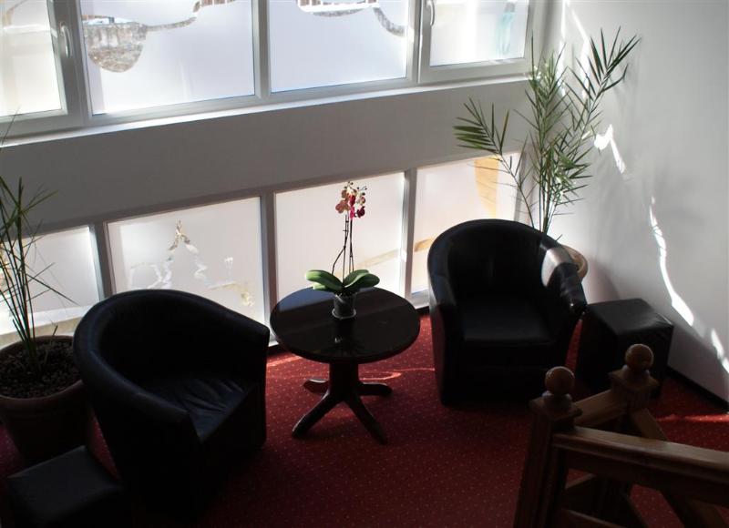 Hotel Park Sfantu Gheorghe - Lobi