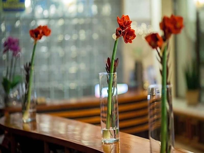 Hotel Park Sfantu Gheorghe - Genel