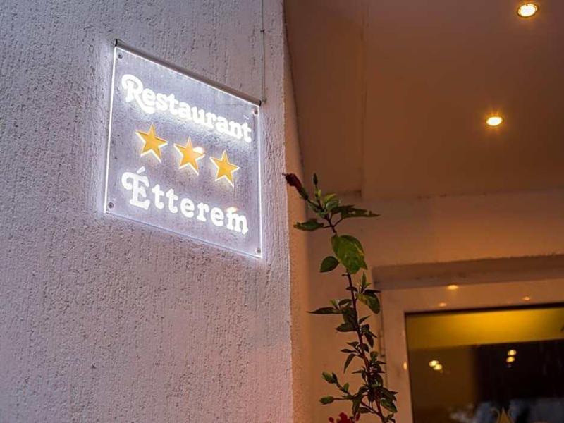 Hotel Park Sfantu Gheorghe - Genel