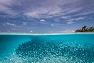 Dhigufaru Island Resort fotoÄŸrafÄ±