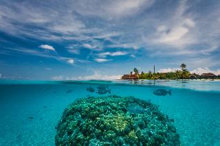 Dhigufaru Island Resort fotoÄŸrafÄ±