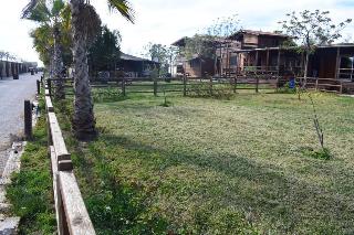 Bungalows Park Albufera fotoÄŸrafÄ±
