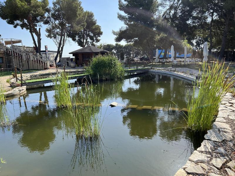 Hotel El Cisne - Genel
