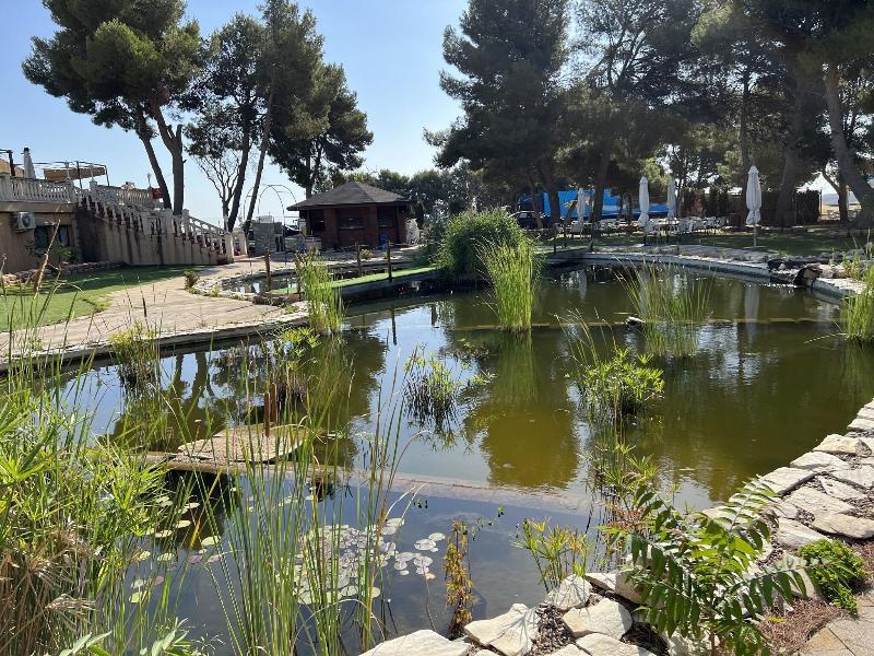Hotel El Cisne - Genel