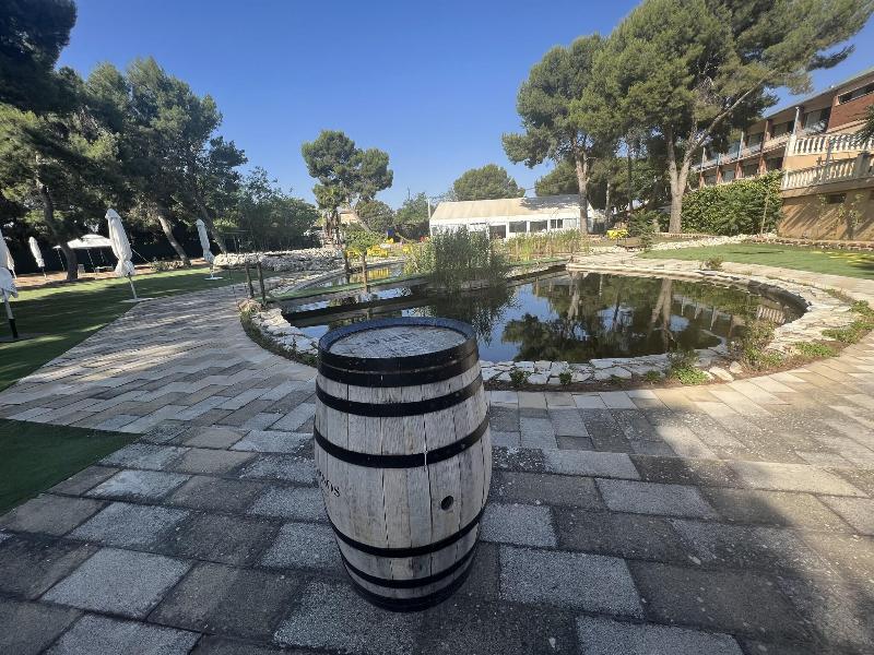 Hotel El Cisne - Genel