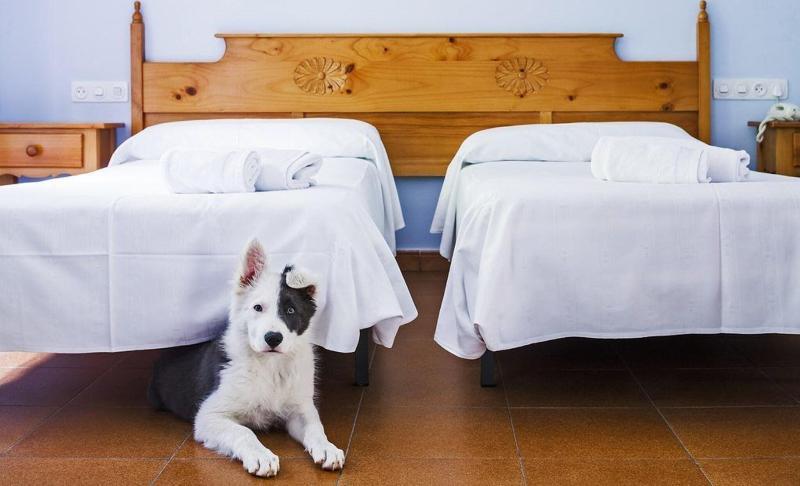 Hotel Real De Castilla - Genel